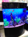 CLEAIR ACRYLIC TANKS  AQUARIUM